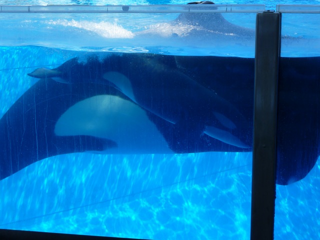 [P1020496[4].jpg]