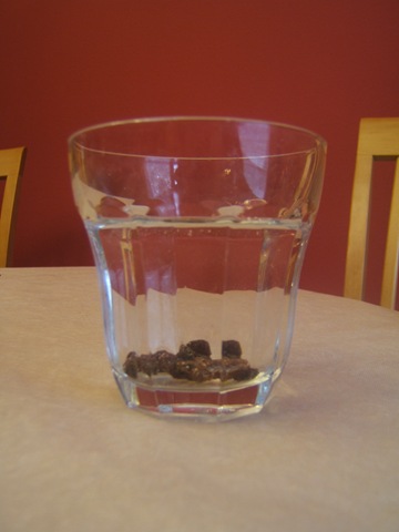 Raisins In Water