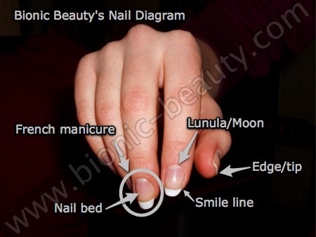 Fingernails And Health