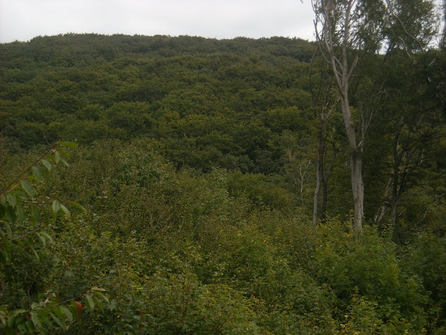 DSCN0512