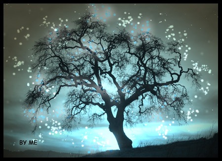 [Magic_Tree_XD_by_Snaiperka[6].jpg]