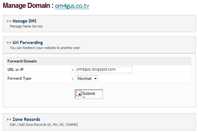 [manage-domain[3].jpg]