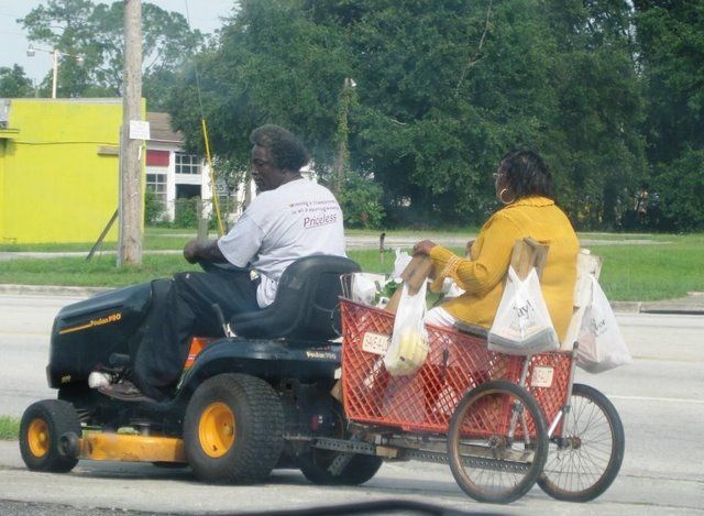 funny pictures 5 jpg