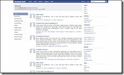 Facebook Look 2 theme