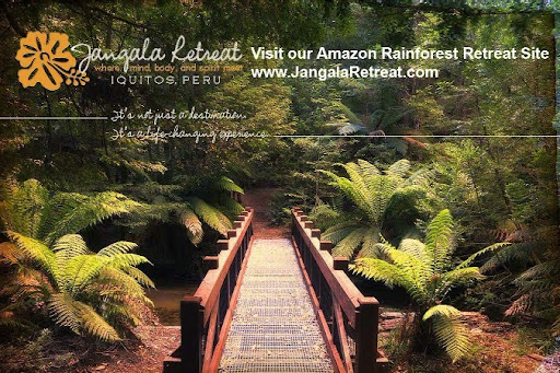 Jangala Yoga Retreat