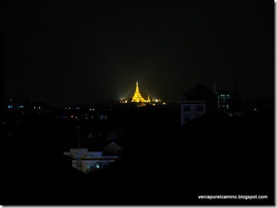 IMG_1779 IMG_1779