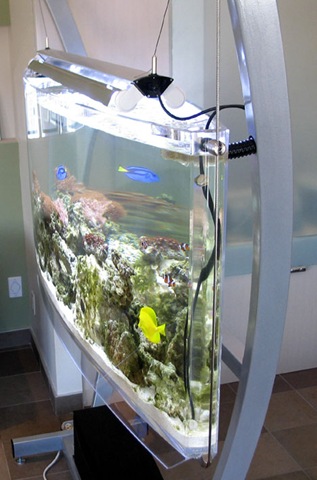 [aquario4[4].jpg]