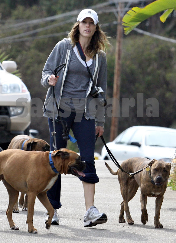 Jessica Biel Dogs