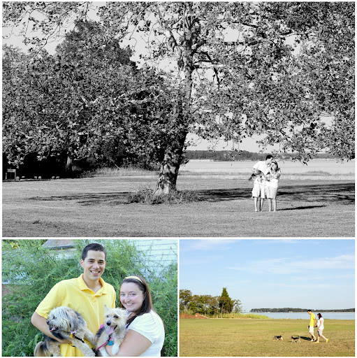 dogs and trees