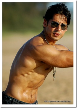 Dino Morea