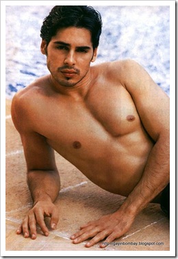 Dino Morea