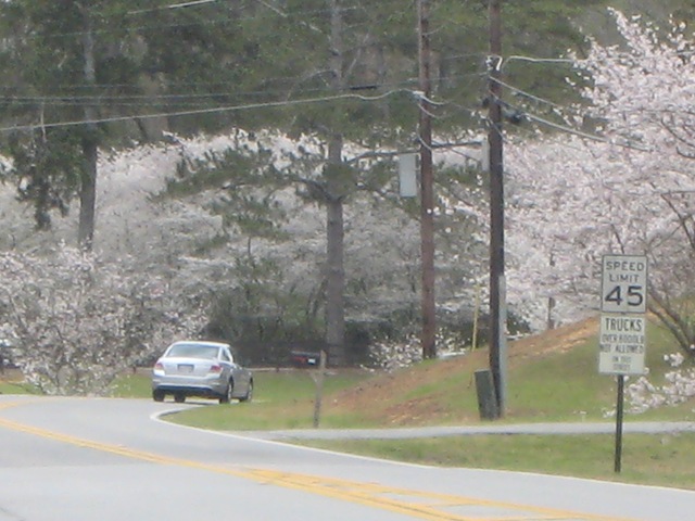 [March24street[4].jpg]