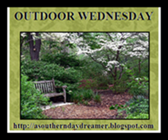 OutdoorWednesdaylogo554 OutdoorWednesdaylogo554