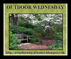OutdoorWednesdaylogo55444 OutdoorWednesdaylogo55444