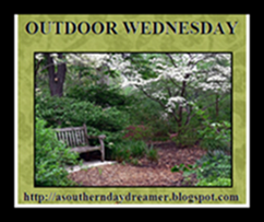 OutdoorWednesdaybutton54333 OutdoorWednesdaybutton54333