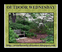 OutdoorWednesdaybutton543333333 OutdoorWednesdaybutton543333333