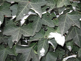 IMG_0049.JPG