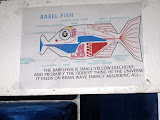 IMG_1296.JPG