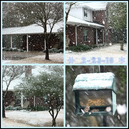 snow collage 2-23-10