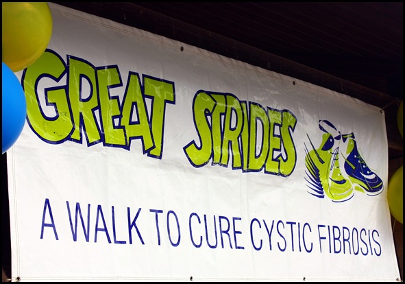 Great Strides Sign 2010