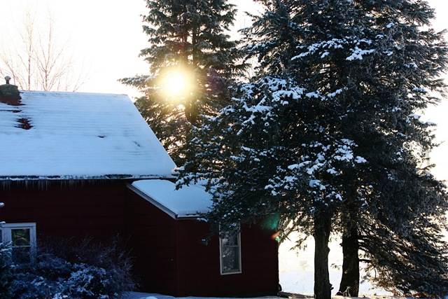 [Snowy Iowa Morning 12-2010 (4)[2].jpg]