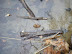 DSCF0904.JPG