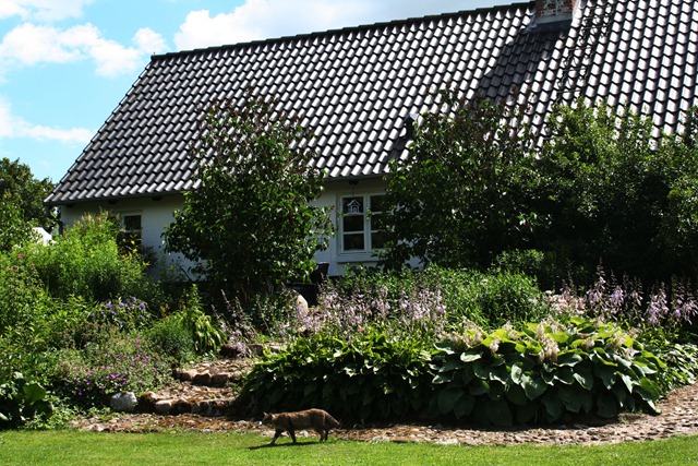 [Danmark sommeren 2010 014[4].jpg]