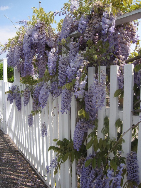 [Danmark mai 2011 099[3].jpg]