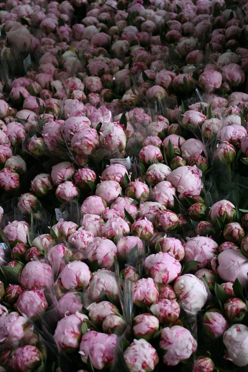[Danmark mai 2011 167[3].jpg]