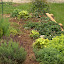 mezfank's Strawberry Patch garden