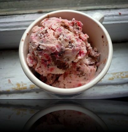 raspberry ice cream 6