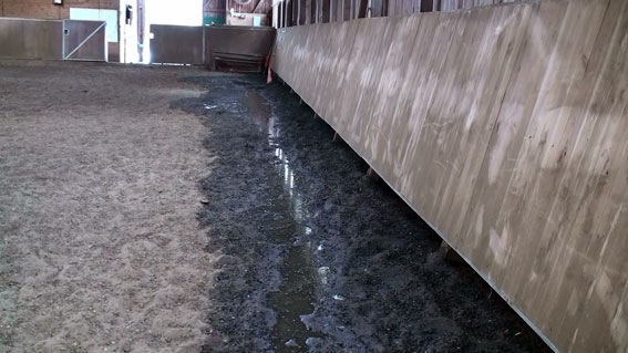 [20100226133410(1)[4].jpg]