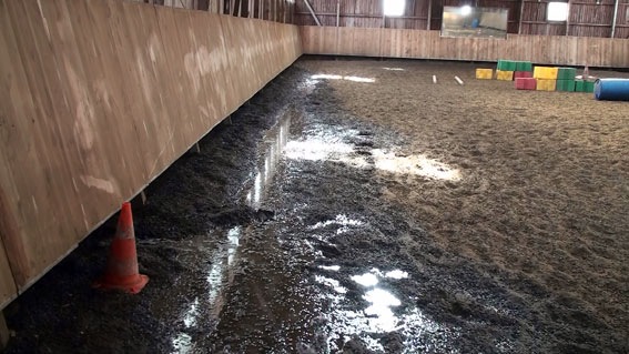 [wasserhalle[4].jpg]
