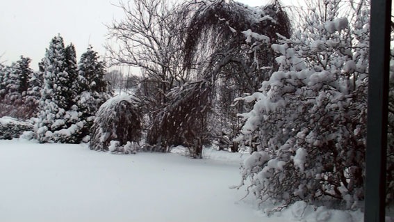 [schnee[3].jpg]