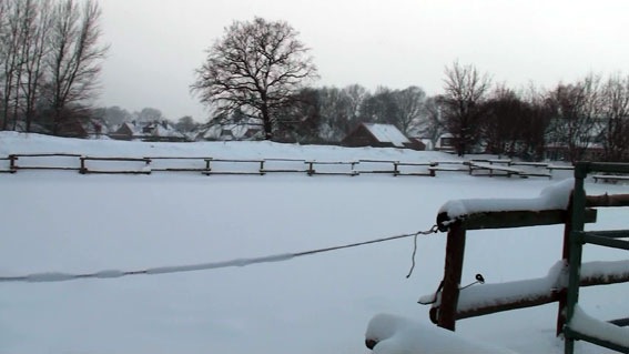 [schnee2[3].jpg]