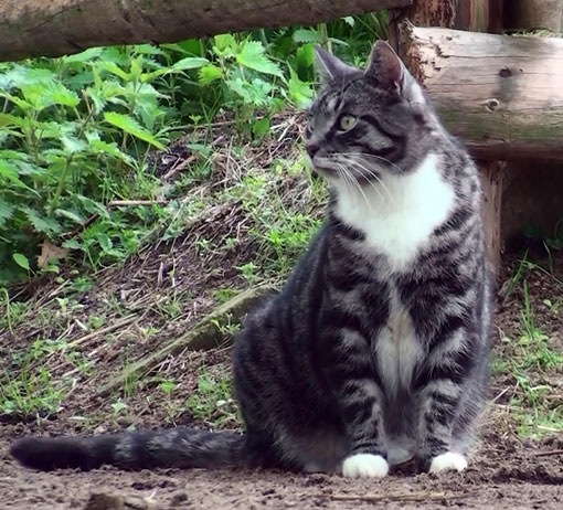 [20100516110816(2)[10].jpg]