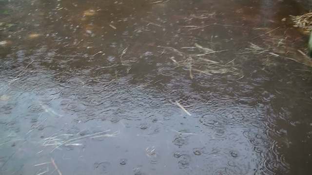 [wasserpfütze[4].jpg]