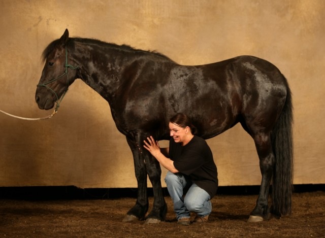 [IMG_0795 [640x480].jpg]