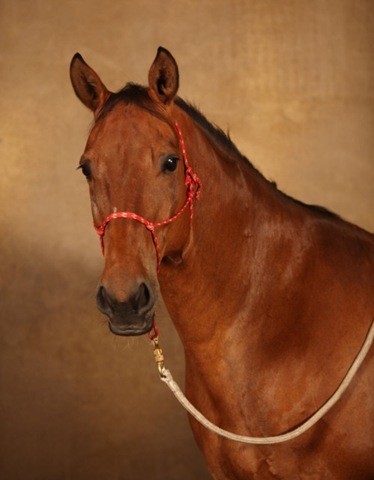 [IMG_4894 [640x480][3].jpg]