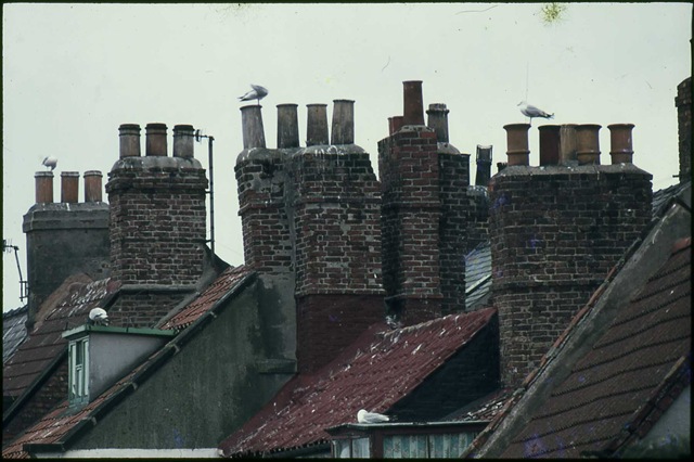 [old slide whitby chimneys[2].jpg]
