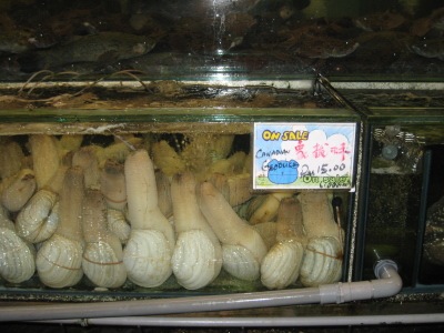 [IMG_17792.jpg]