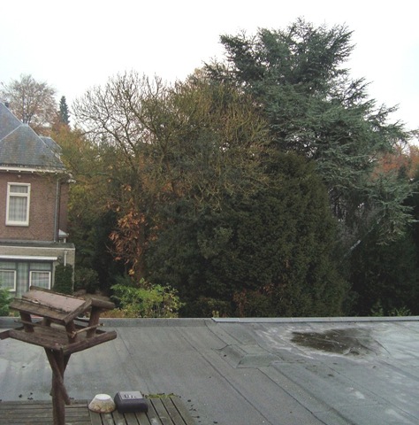 [Arnhem Autumn Morning 1[8].jpg]