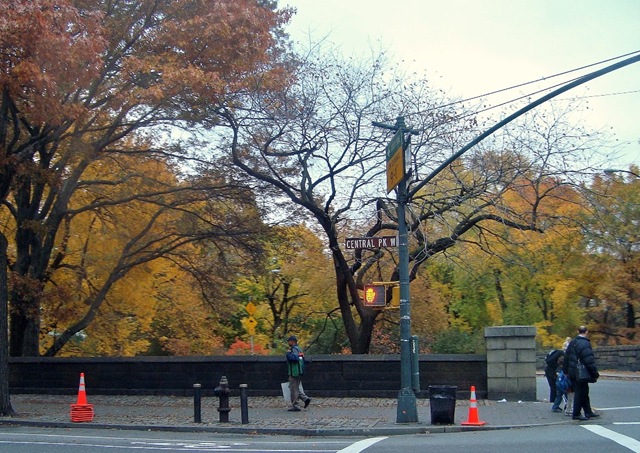 [Central Park Fall 3[9].jpg]