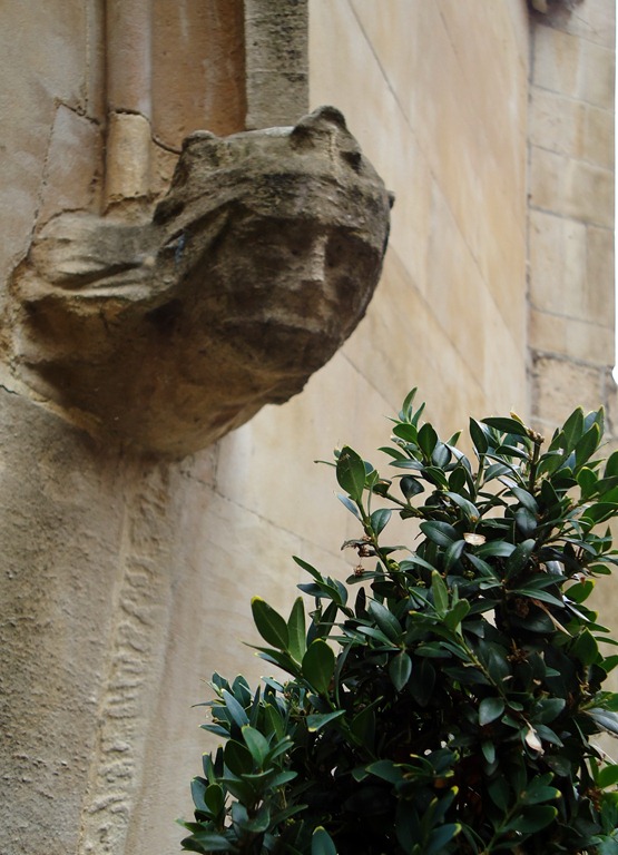 [Social Media[5].jpg]