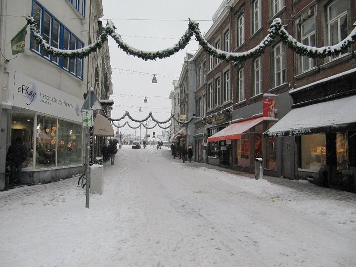 [67153_1532488476709_1369692524_31314787_6898796_n[2].jpg]