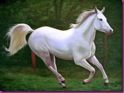 caballo blanco