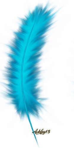 [pluma-azul[2].jpg]