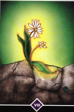 [la vida se hace paso[2].jpg]
