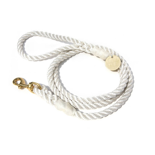 I love the gold and white combination of this leash.(foundmyanimal.com)