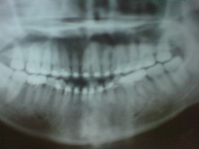 [DSC020673.jpg]